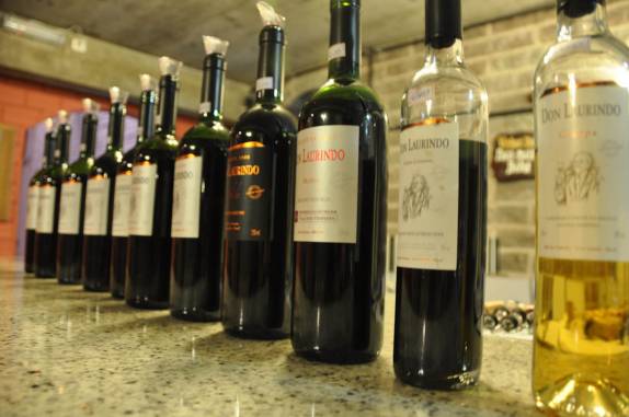 Degustação de vinhos na vinícola Don Laurindo, no Vale dos Vinhedos, em Bento Gonçalves - RS